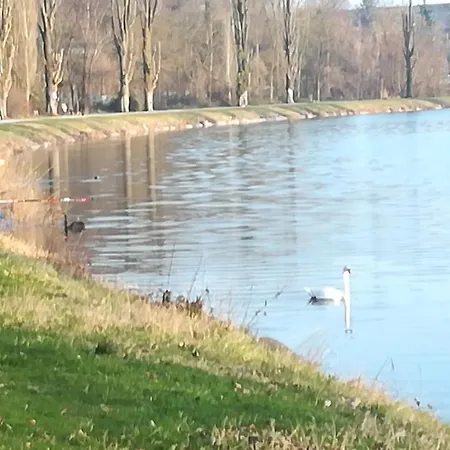 Casa Meda Girasole アパート *